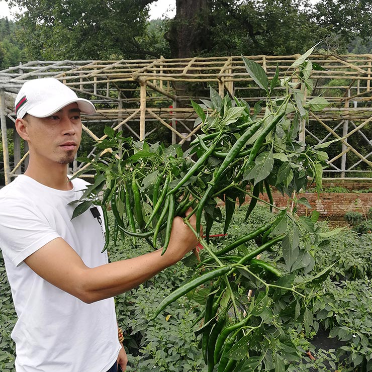Z6·尊龙凯时(中国区)人生就是搏!