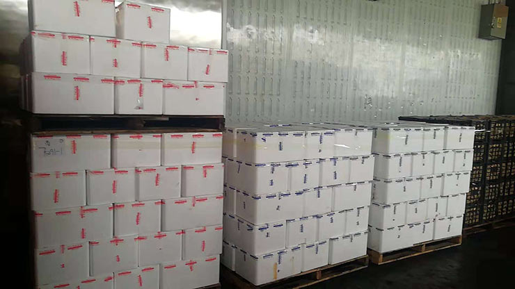 Z6·尊龙凯时(中国区)人生就是搏!