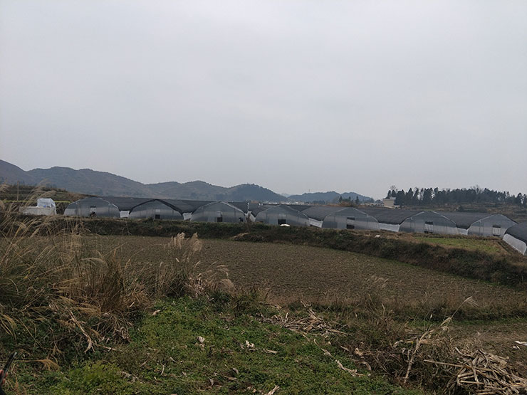 Z6·尊龙凯时(中国区)人生就是搏!