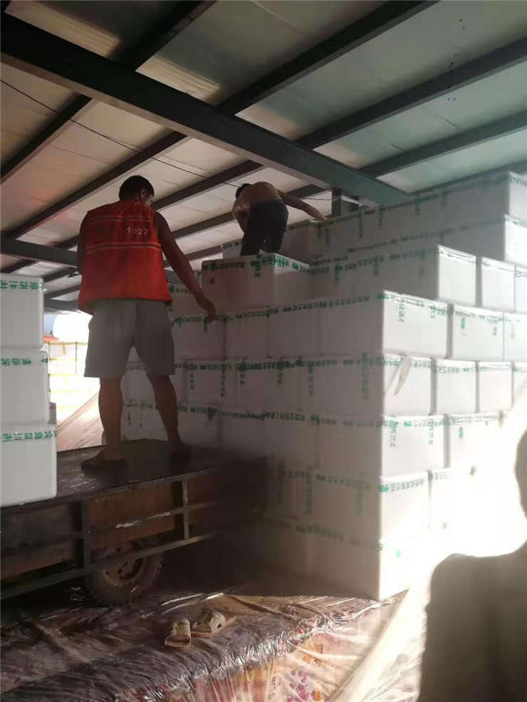 Z6·尊龙凯时(中国区)人生就是搏!