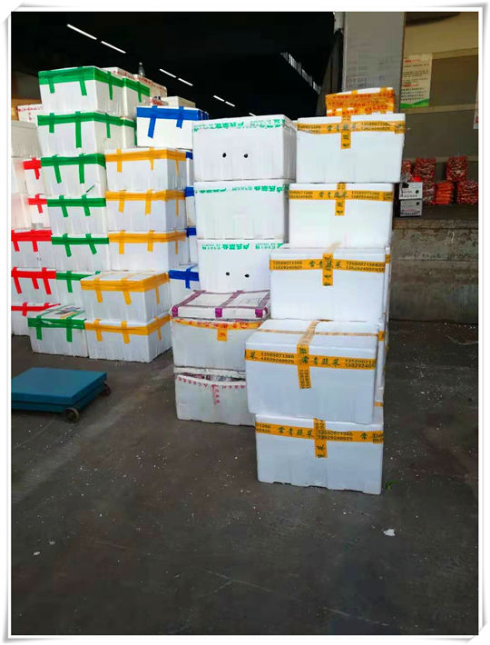 Z6·尊龙凯时(中国区)人生就是搏!