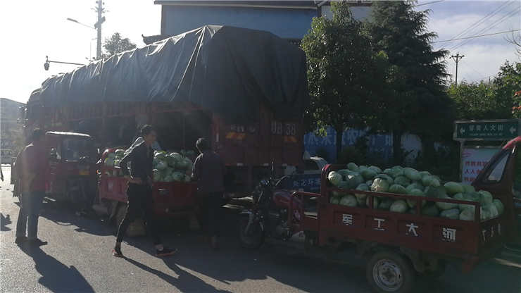 Z6·尊龙凯时(中国区)人生就是搏!