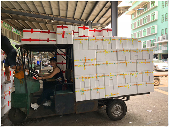 Z6·尊龙凯时(中国区)人生就是搏!