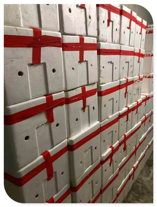 Z6·尊龙凯时(中国区)人生就是搏!