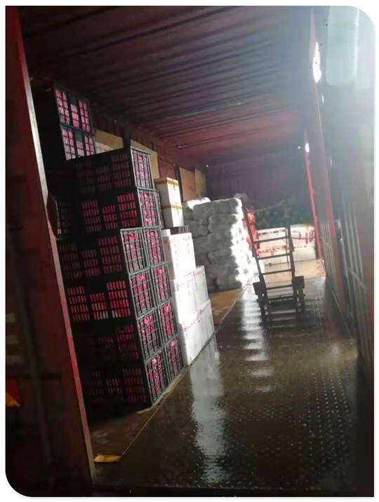 Z6·尊龙凯时(中国区)人生就是搏!