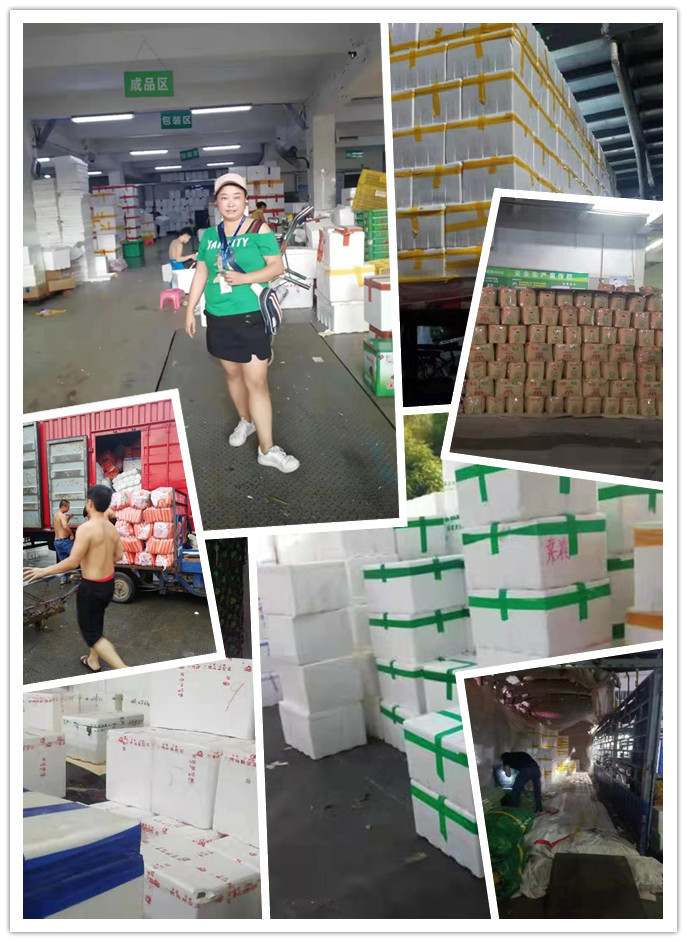 Z6·尊龙凯时(中国区)人生就是搏!