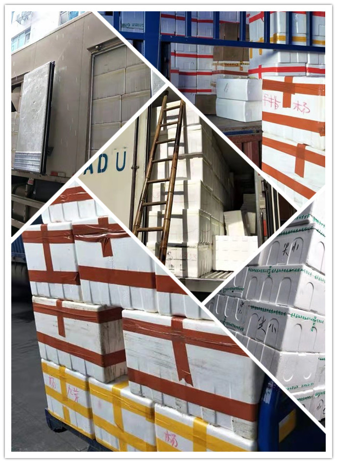 Z6·尊龙凯时(中国区)人生就是搏!