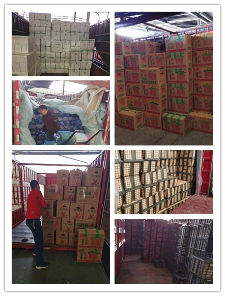 Z6·尊龙凯时(中国区)人生就是搏!