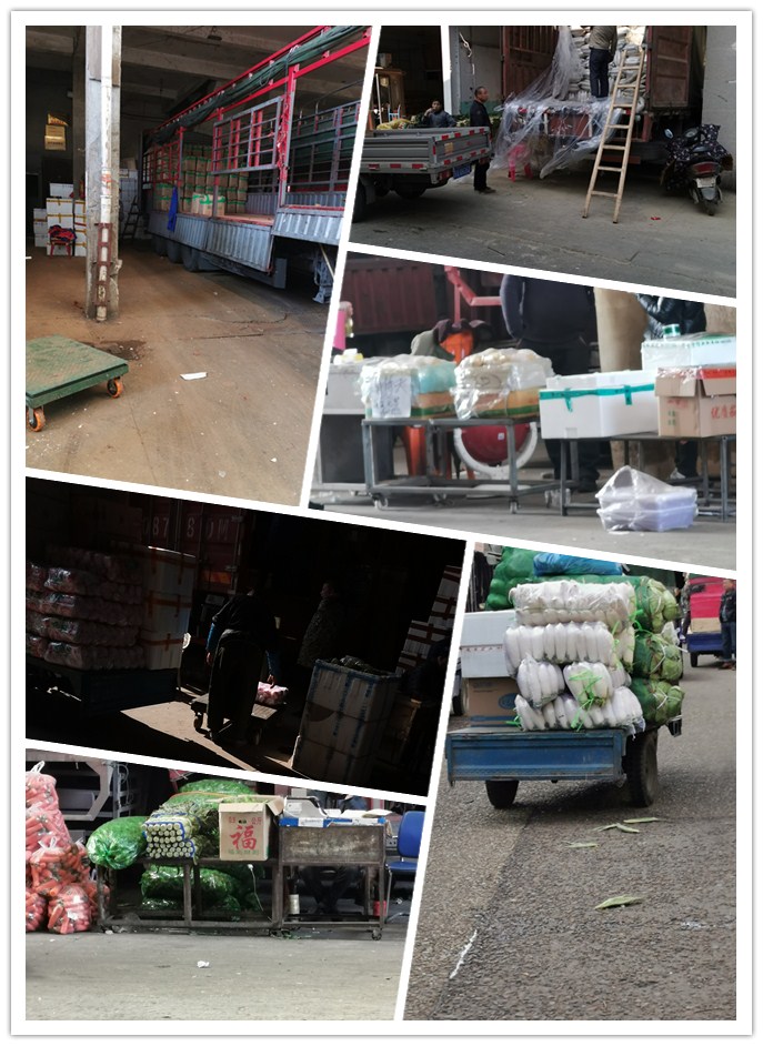 Z6·尊龙凯时(中国区)人生就是搏!