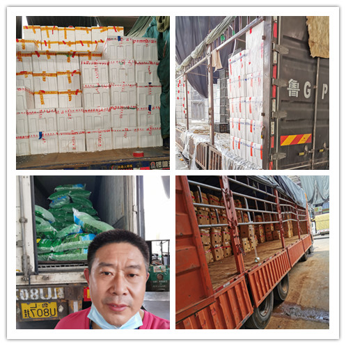 Z6·尊龙凯时(中国区)人生就是搏!