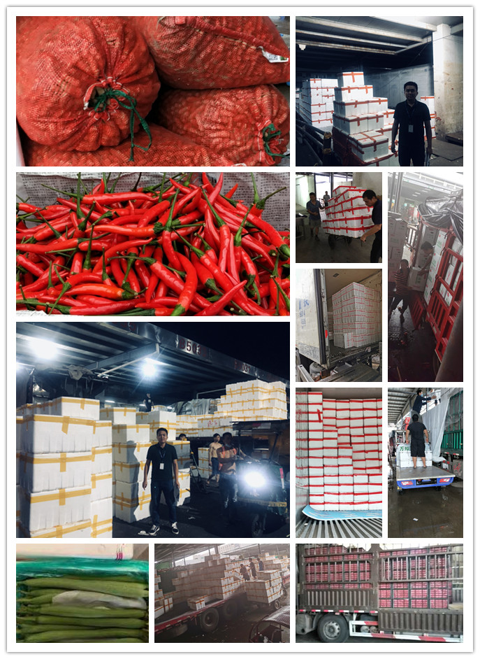 Z6·尊龙凯时(中国区)人生就是搏!