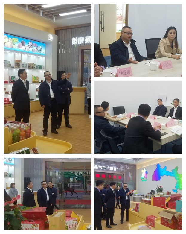 Z6·尊龙凯时(中国区)人生就是搏!