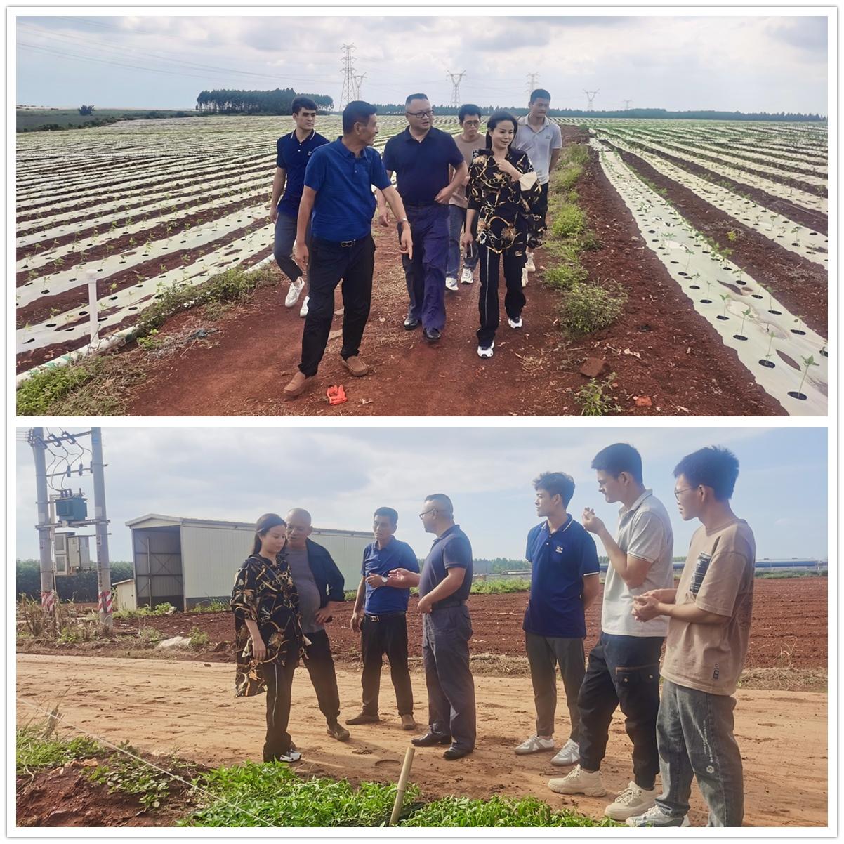 Z6·尊龙凯时(中国区)人生就是搏!