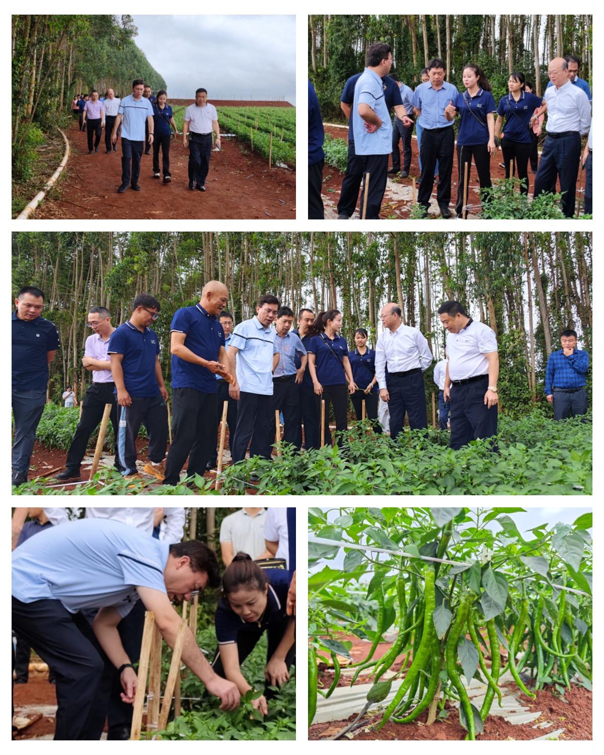 Z6·尊龙凯时(中国区)人生就是搏!