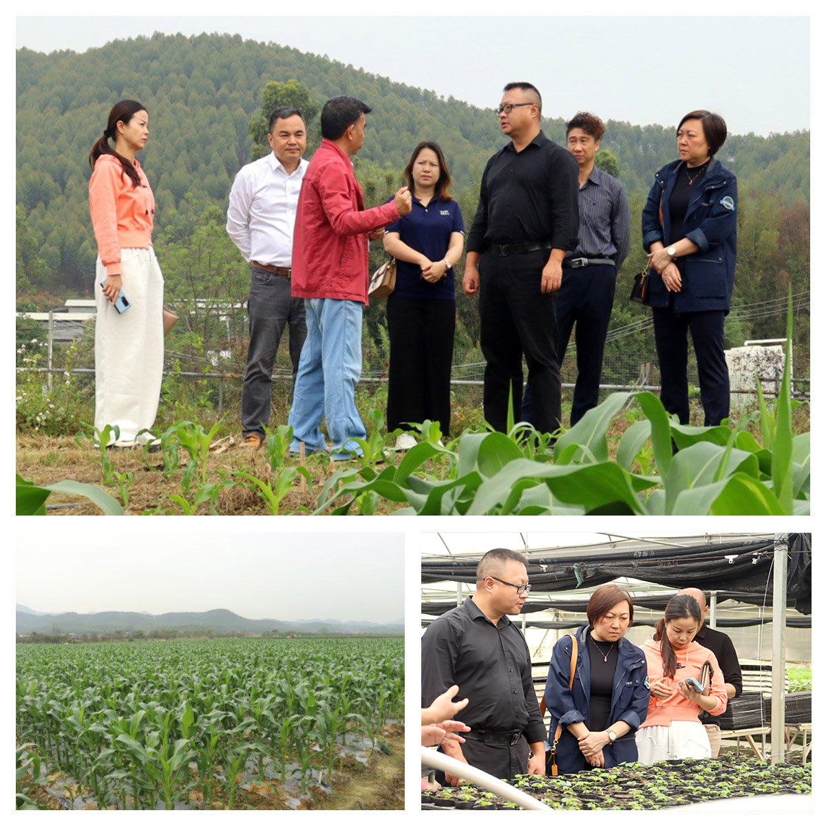 Z6·尊龙凯时(中国区)人生就是搏!