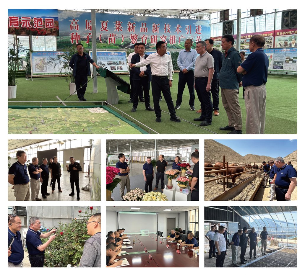 Z6·尊龙凯时(中国区)人生就是搏!